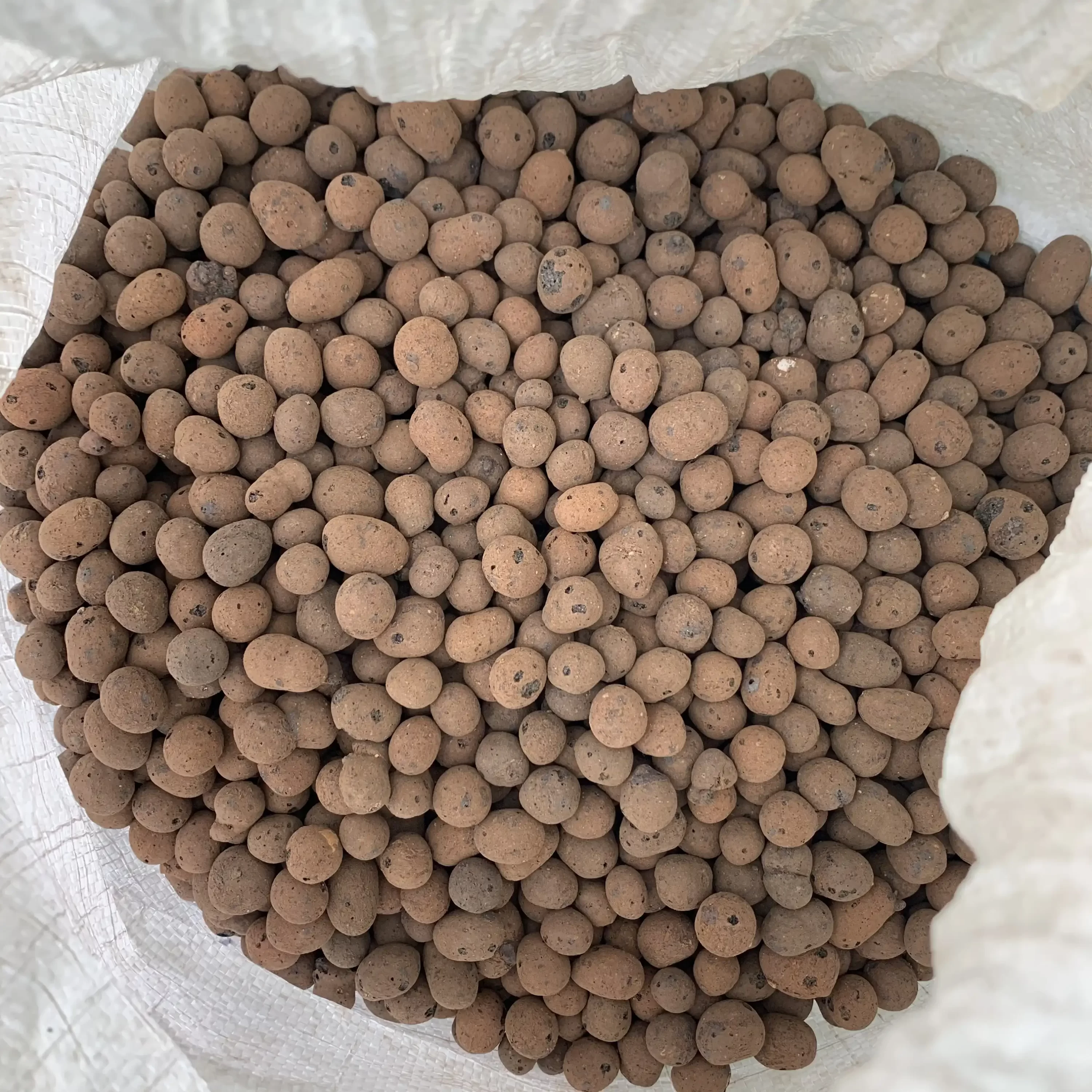 Clay pebble - Image 7